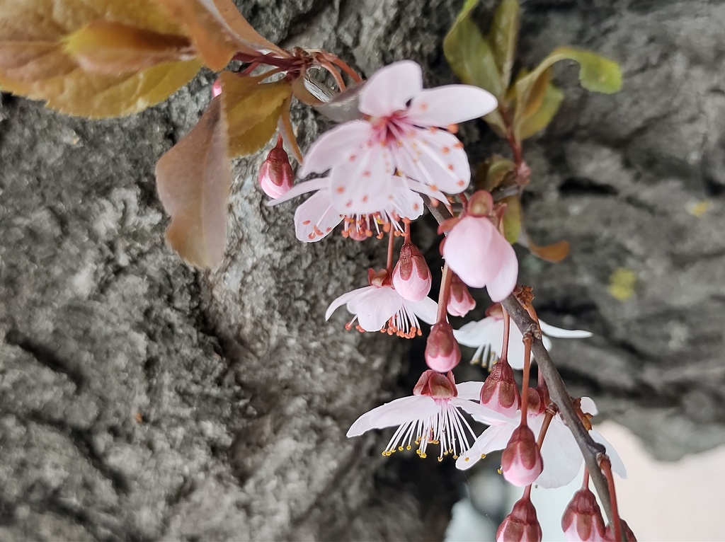 No s'ha trobat l'arxiu